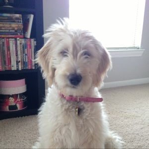 Meet your Posher, Ashley